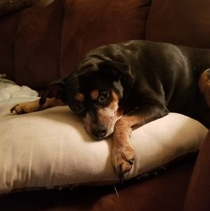 Meet your Posher, Daniel